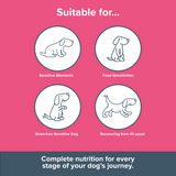 Gastro Digestive Care, Grain-Free, for dogs with Sensitive Digestion