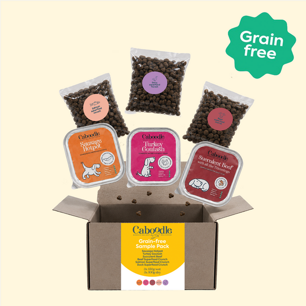 Caboodle Grain-Free Sample