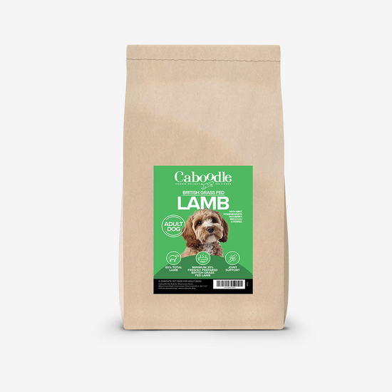 Lamb grain free dog food
