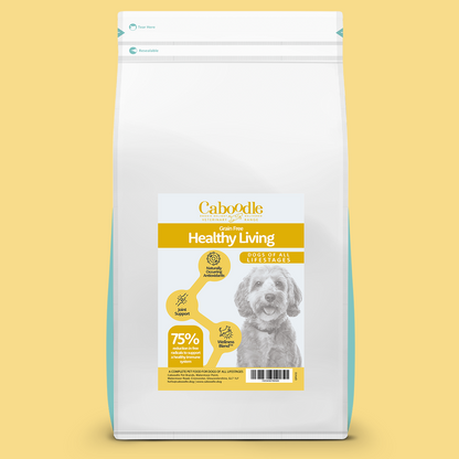 Hypoallergenic Dry Food