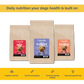 Superfood Puppy Dry Food