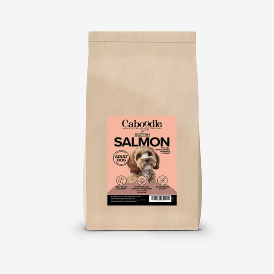 Caboodle Dry Dog Food Caboodle Dry Dog Food