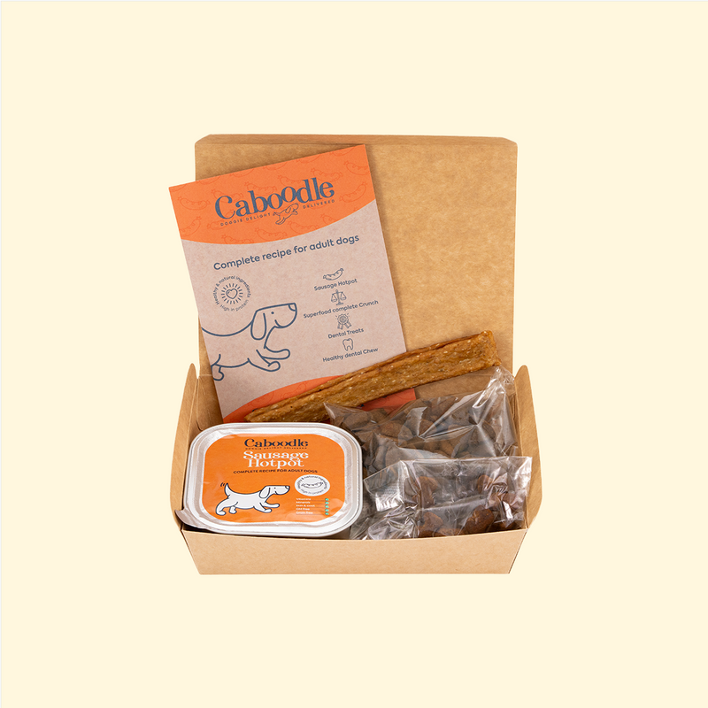 Caboodle Sample Tray