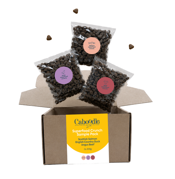 Caboodle Dry Dog Food Sample