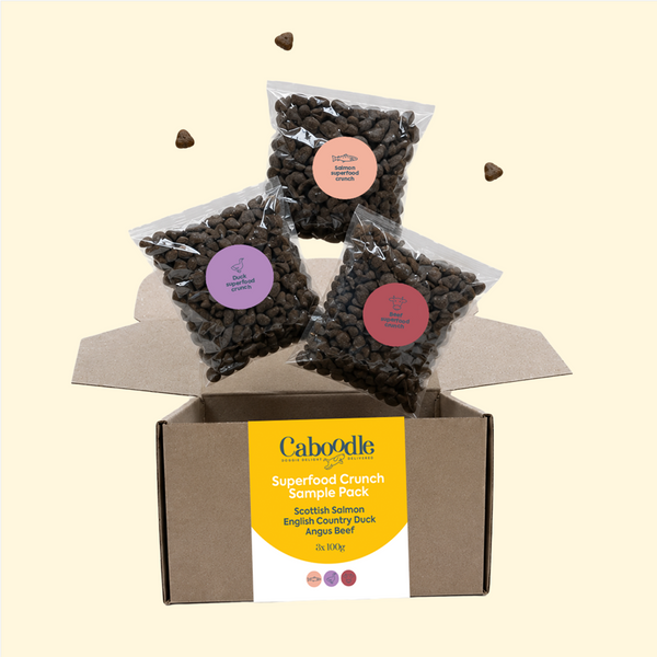 Caboodle Dry Dog Food Sample