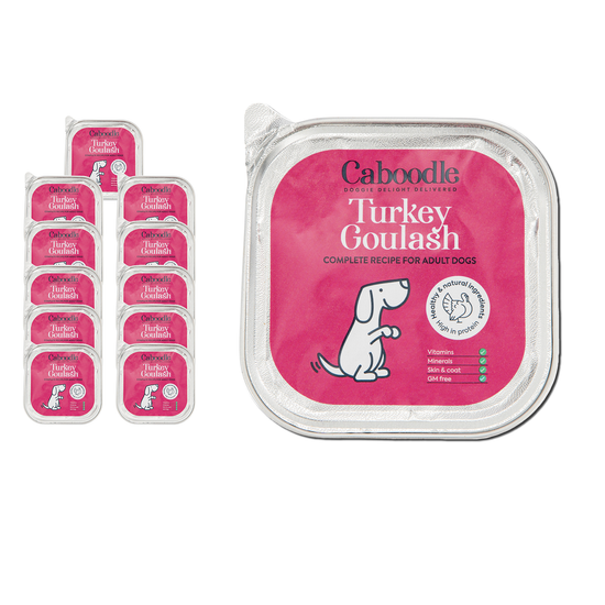 healthy wet food turkey flavour