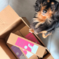 Wet Dog Food