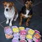 Wet Food Variety Pack