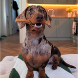Healthy Dental Chews
