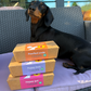 Pawfect Smile Treat Gift Box