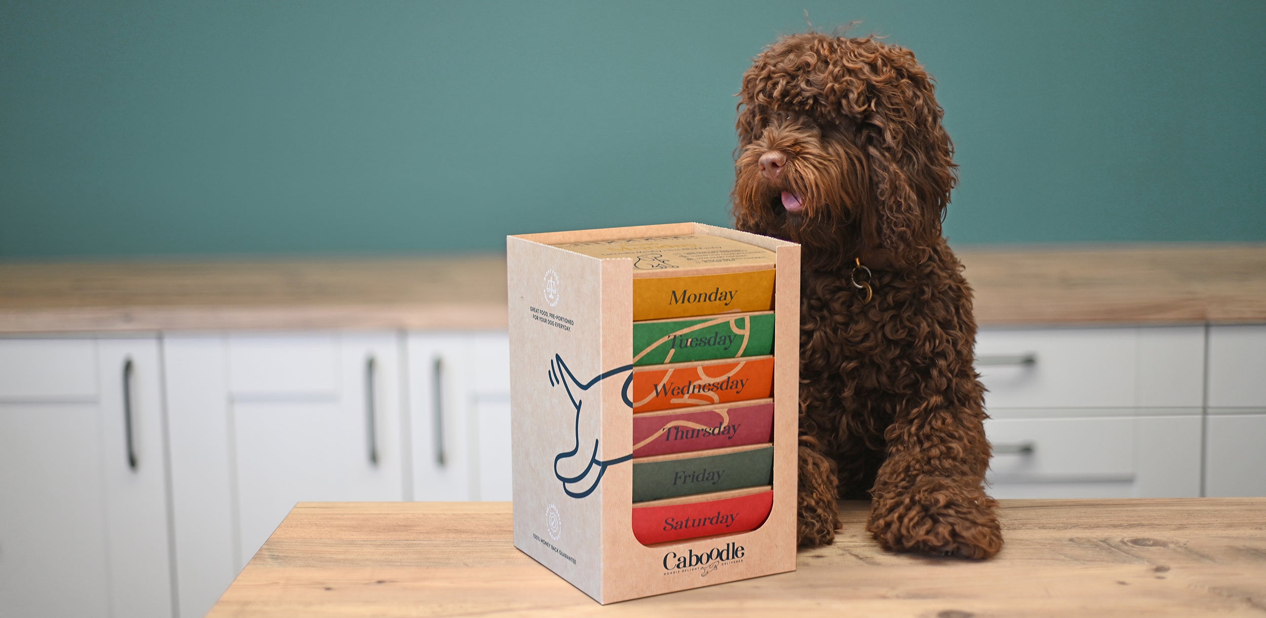 Dog food on sale subscription box