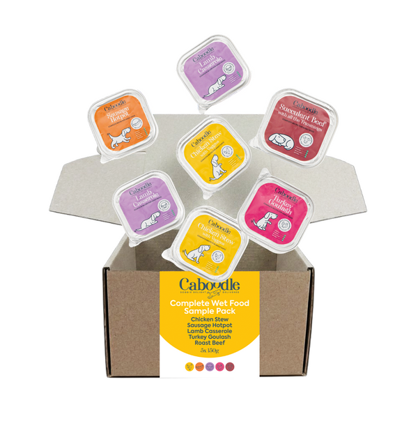 Caboodle Wet Dog Food Sample