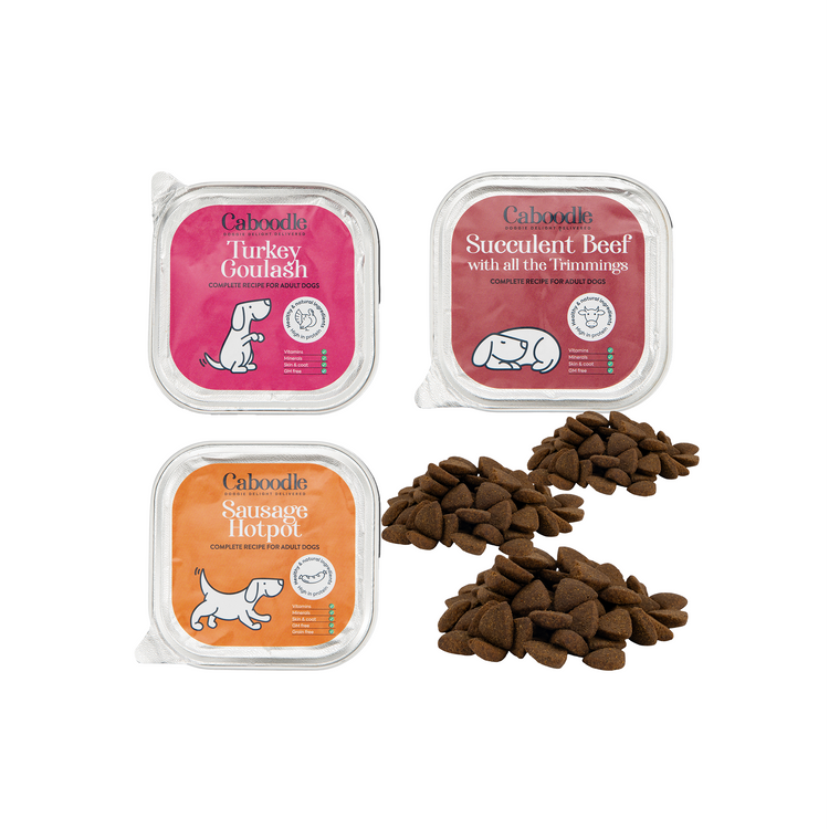 grain-free dog food sample box