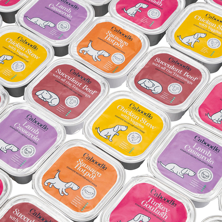 Caboodle wet food variety pack